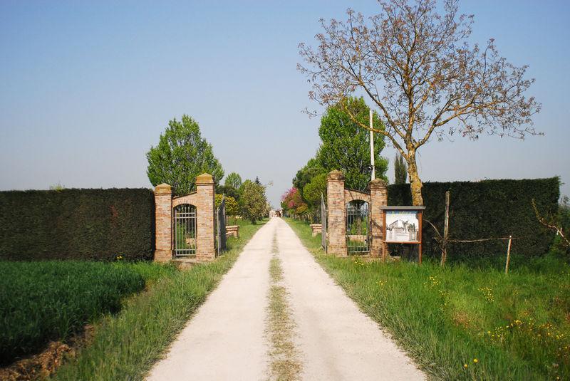 Alfonsine Agriturismo L'Angelinaヴィラ エクステリア 写真