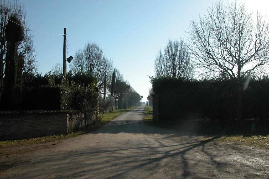 Alfonsine Agriturismo L'Angelinaヴィラ エクステリア 写真