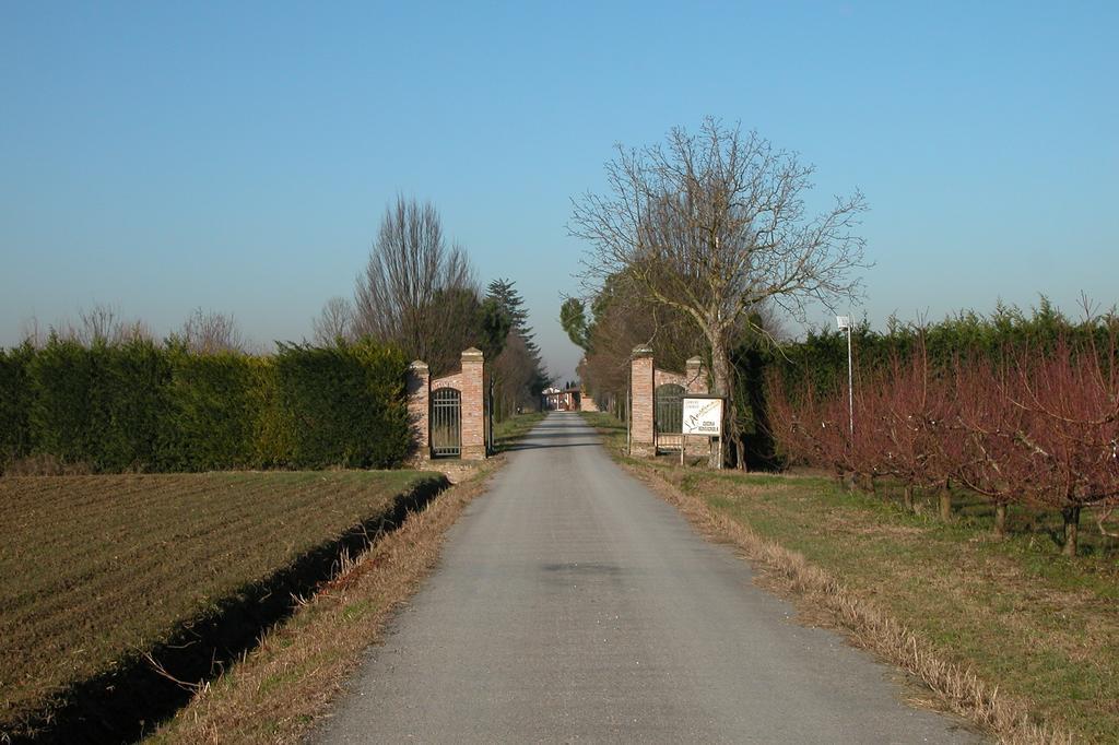 Alfonsine Agriturismo L'Angelinaヴィラ エクステリア 写真